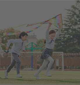 K12教育
